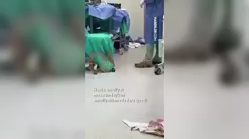 Əməliyyat otağında siçanlar gəzir