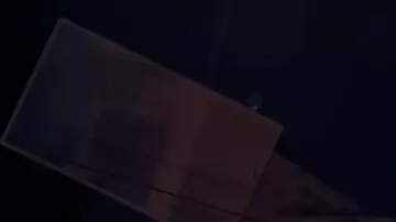 Şirvanda oğurluq edən şəxs saxlanılıb