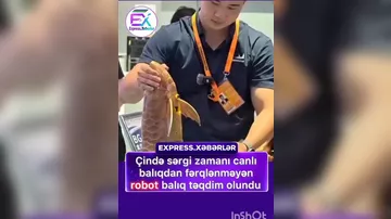 “Çində keçirilən CIFTIS 2026 sərgisində real balığı xatırladan, arapaima formasında bionik robot nümayiş etdirilib