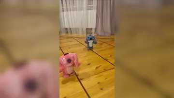 Uşaq oyuncaqlarına Müşviqin mahnısı yerləşdirildi 2