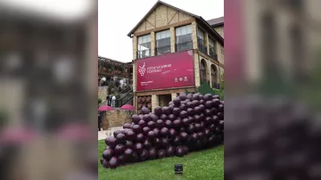 Üzüm və Şərab Festivalının ikinci günü başladı