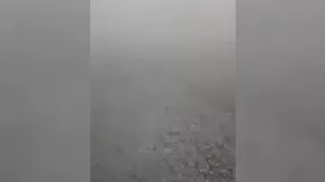 Калимантан окутал густой смог из-за пожаров - 1