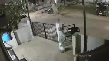 Meymun tanınmış yazıçının həyat yoldaşını öldürdü
