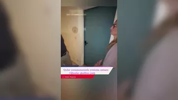 Almaniyada tələbə qızlar yurdunda (yataqxanasına) gecə vaxtı rəhbərlik tərəfindən qəfil yoxlama keçirilib