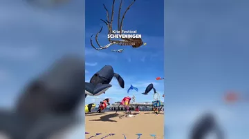 Так выглядит фестиваль воздушных змеев