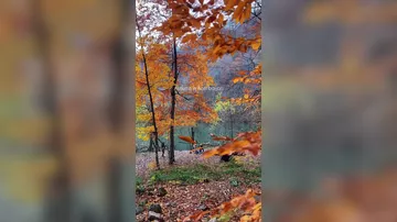 Как чувствуется осень в Азербайджане?
