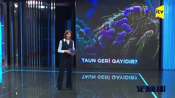 Dünyanı qorxudan taun: Azərbaycana yayılma riski varmı?