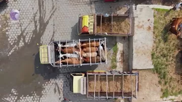 Bakıda ət niyə baha satılır?