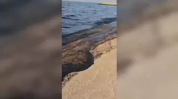 В ОАЭ закрывают пляжи из-за разлива нефти с морского танкера