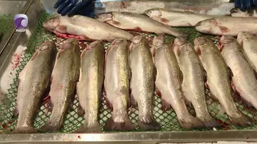 Balıq bazarıda BAHALAŞMA