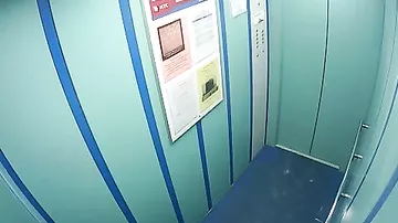Камера запечатлела, как лифт едва не задушил собаку в Петербурге