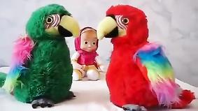 Попугаи игрушки переговариваются между собой
