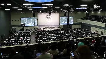 ООН призывает страны ратифицировать соглашение по климату