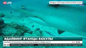 Дайвер исполнил танец под водой среди акул