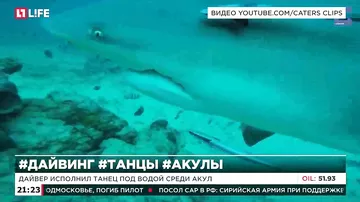 Дайвер исполнил танец под водой среди акул