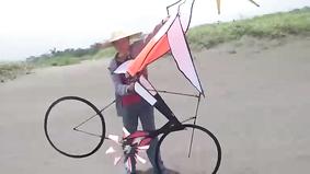 Воздушный змей в виде цапли на велосипеде