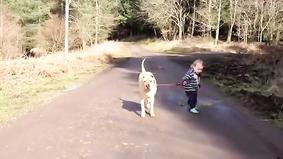 Funny baby and dog on a walk / Смешной ребенок и собака на прогулке