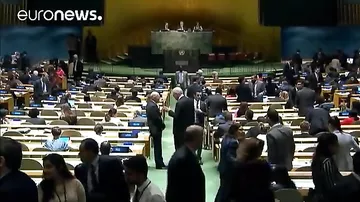 ООН: Италия и Нидерланды договорились о поочередном членстве в Совбезе