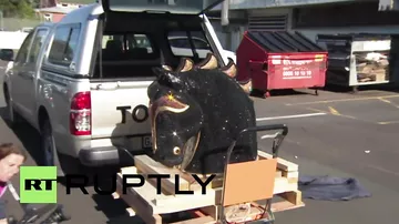 В Новой Зеландии в голове коня нашли 35 кг кокаина
