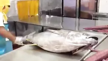 Быстрая разделка огромной рыбы
