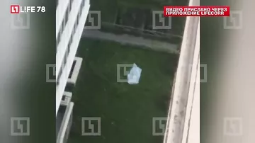 Петербуржец разбился насмерть, выпав из окна седьмого этажа