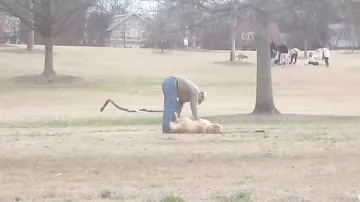 Хитрый пес прикидывается мертвым, чтобы остаться погулять подольше в парке