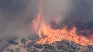 Появилось видео огненного смерча в Калифорнии