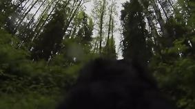 Собака с GoPro случайно заснял таинственного существа в лесу Орегон