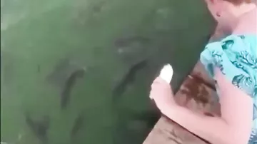 Balığı yemləyirdi, balıq onu yemək istədi