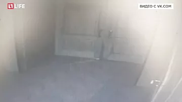 Похищение младенца из храма в Татарстане попало на видео