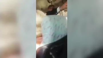 Водитель автобуса во Владивостоке напал на пассажира