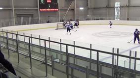 Девушки-хоккеистки устроили жестокую драку во время матча в России