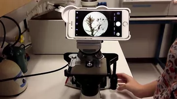 Американские изобретатели скрестили iPhone и микроскоп