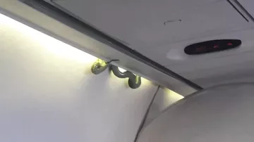 В Мексике змея пробралась в самолёт и улетела из Торреона в Мехико