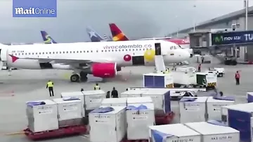 Эвакуация пассажиров из задымившегося самолета попала на видео