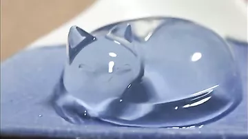 Японский «водяной торт» кондитеры научились делать в виде кошки