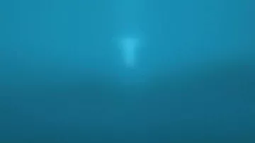 Неисследованные глубины океана показали на видео