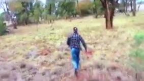Мужчина подрался с кенгуру, напавшим на его собаку