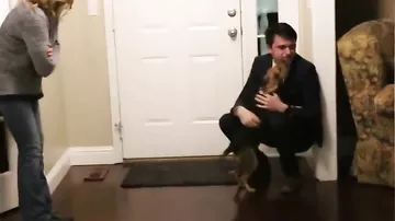 Собака встречает хозяина которого не видела 2 года
