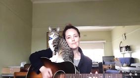 Кот любит песни под гитару
