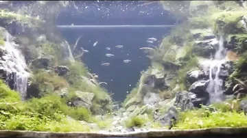 Водопад в аквариуме
