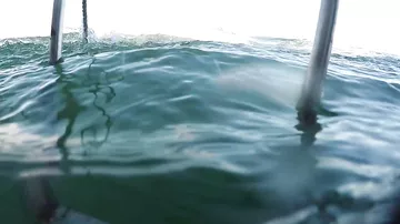 Жуткое зрелище: гигантская акула атакует клетку с туристами