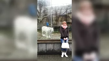 Нападение на человека в московком зоопарке