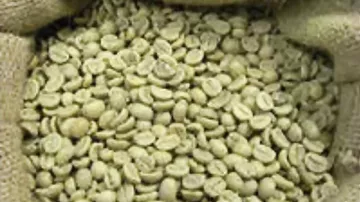 Зеленый кофе: как заваривать