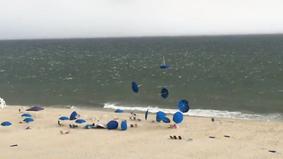 Живые пляжные зонты
