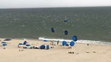 Живые пляжные зонты