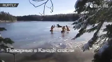 Сотрудники пожарной службы Канады спасли провалившегося под лед лося
