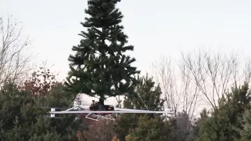Летающую новогоднюю елку показали на видео