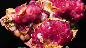 Как выглядит процесс размораживания фруктов и овощей в макросъемке