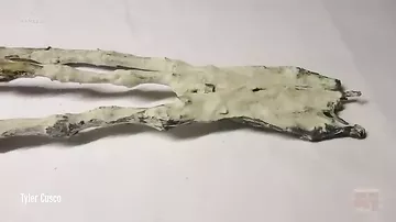 В пустыне обнаружена гигантская «рука инопланетянина»